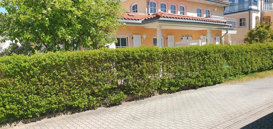 Thumbnail-Ferienwohnung in Kühlungsborn 150 m zum Strand auch Ostern 2026