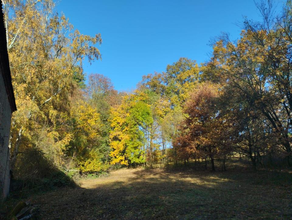 Thumbnail-Traumhaftes Grundstück in Nossen