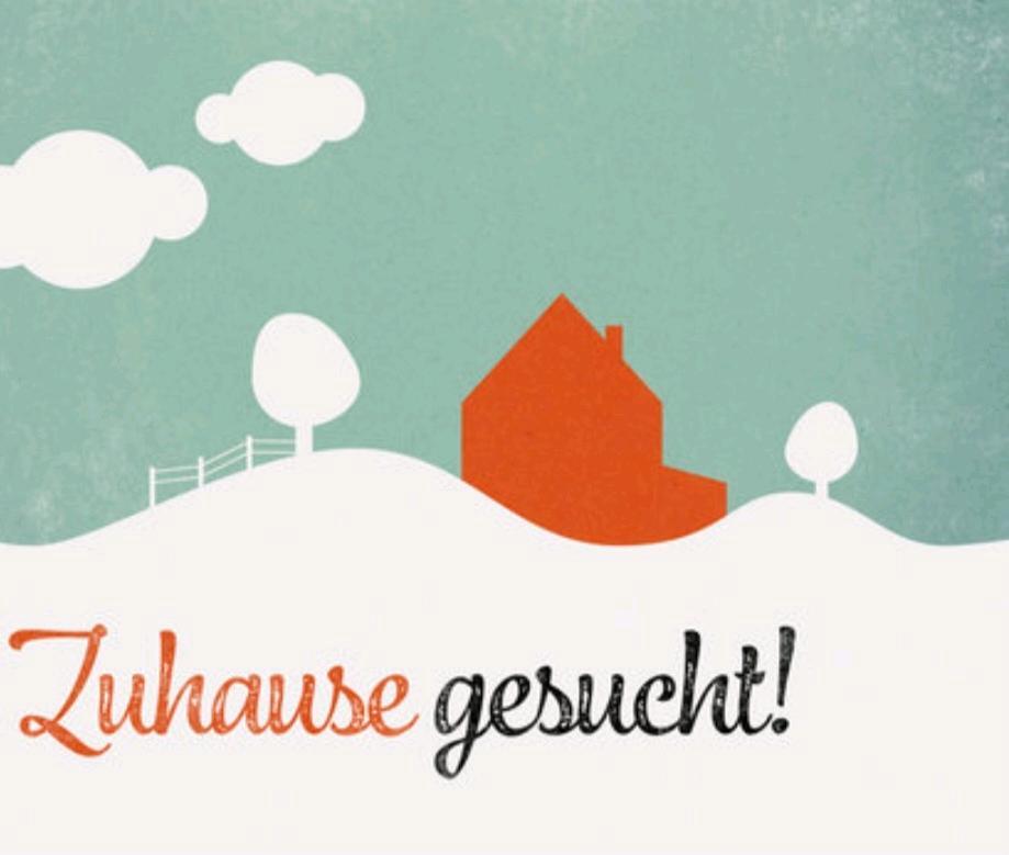 Thumbnail-Mietwohnung Mietshaus Hauskauf Meschede Freienohl Umgebung