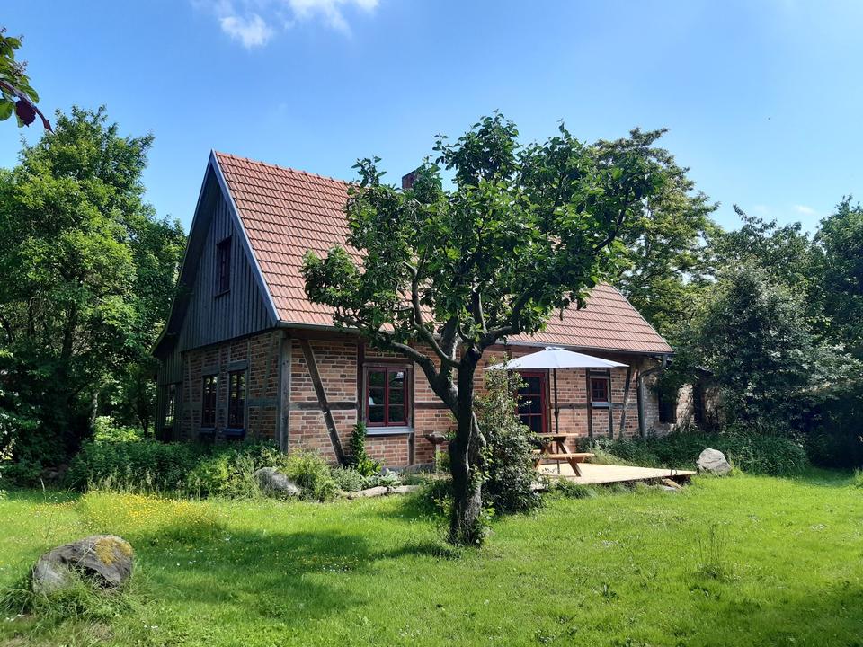 Thumbnail-Ferienhaus Alleinlage Waren Müritz Seenplatte Mecklenburg