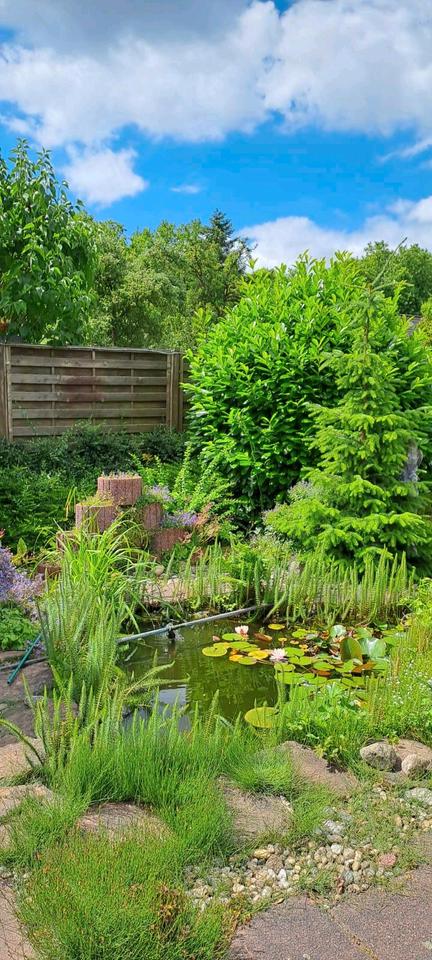 Thumbnail-Kein Makler! Einfamilienhaus mit viel Potential Provisionsfrei