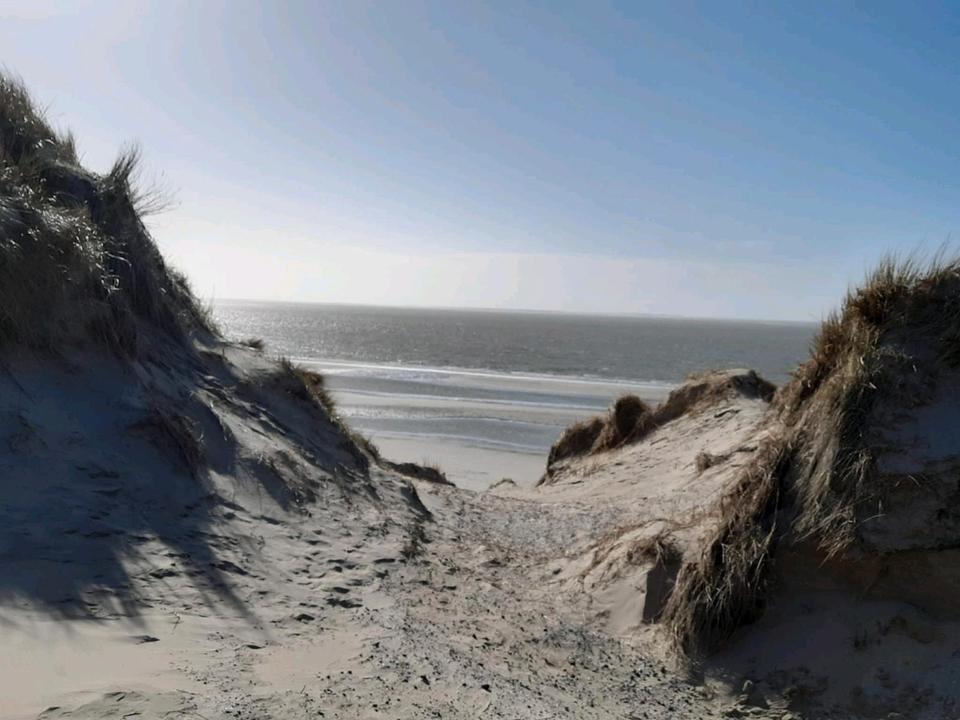 Thumbnail-FEWO AMELAND. (neu möbliert) 5 Personen mit Hund. Termine frei