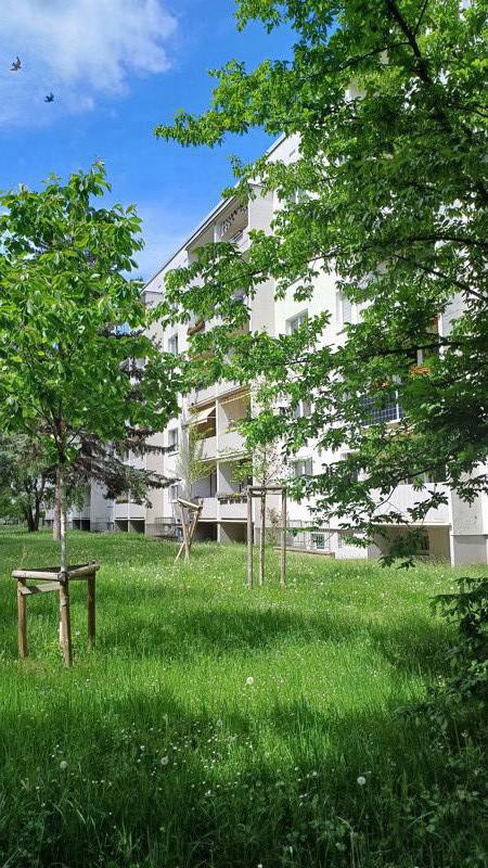 Thumbnail-Neues Jahr, neues Glück, Anmietung ab Februar 2026, Familien Herzlich Willkommen!