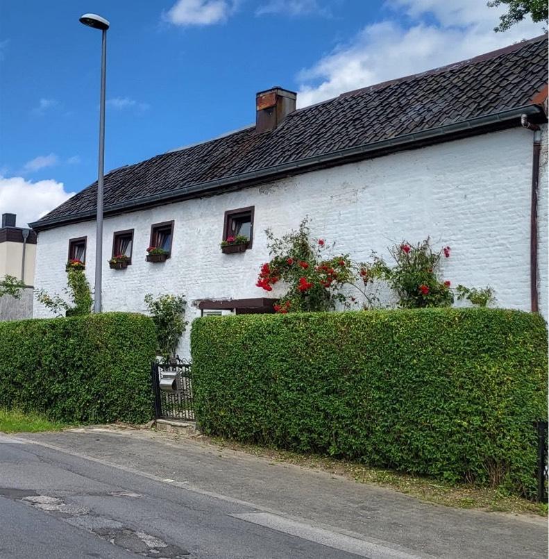 Thumbnail-Einzigartiges Bauernhaus in Aachen Bildchen mit Wiesenblick