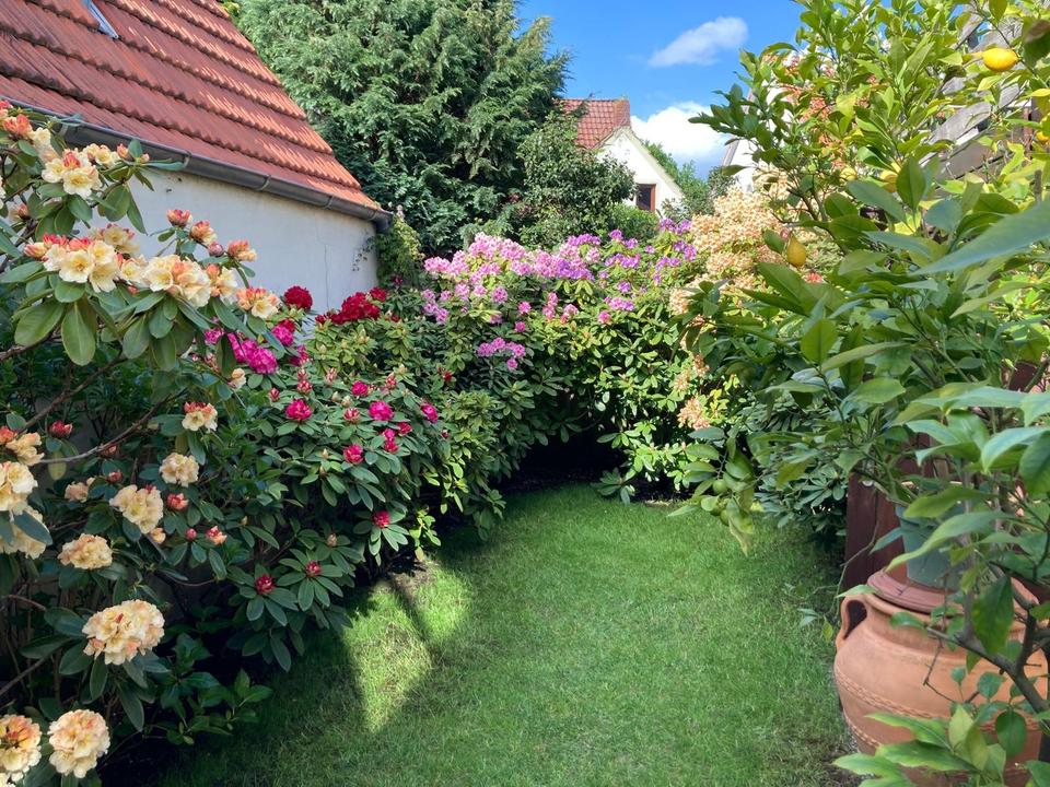 Thumbnail-2 Zimmer Wohnung als WG