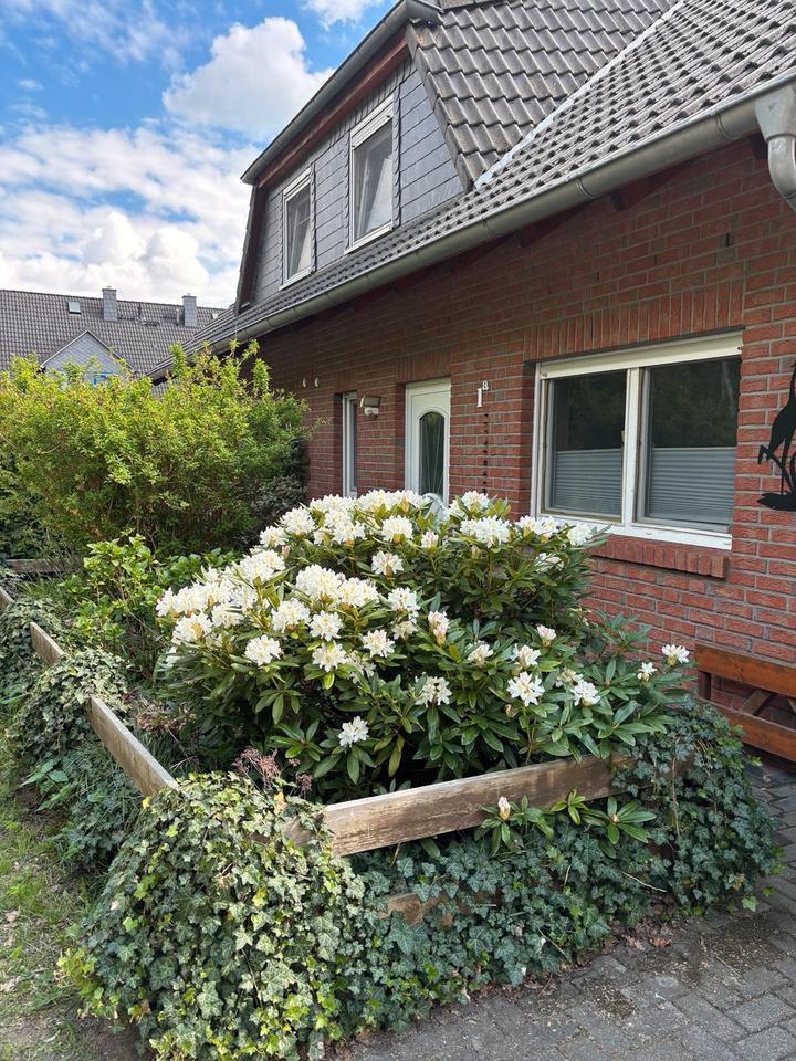 Thumbnail-DHH in 38554 Weyhausen RECHTE SEITE