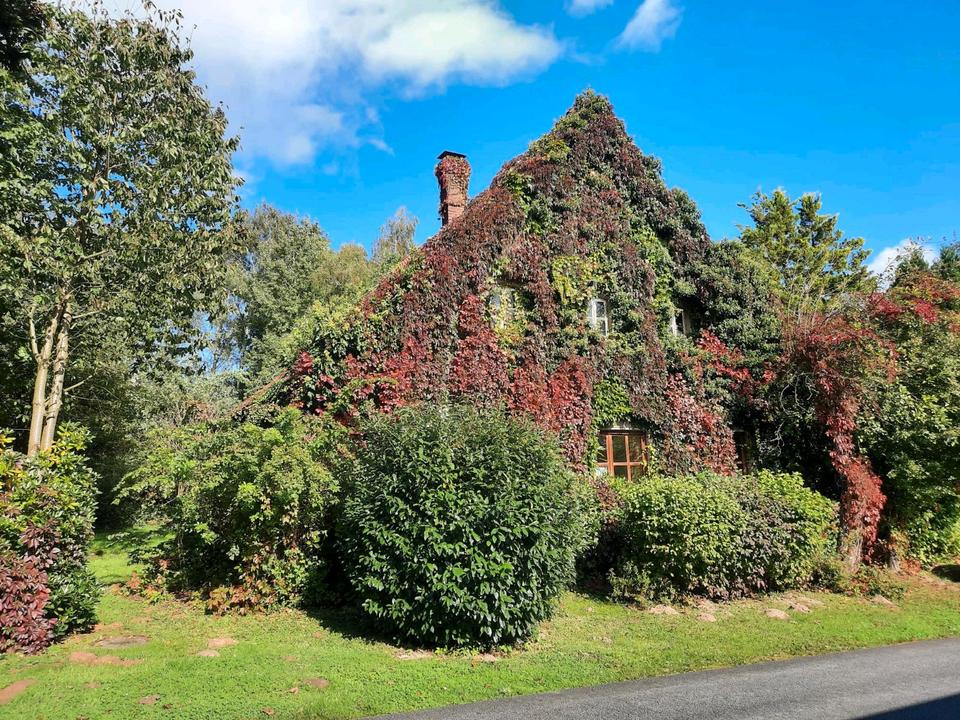 Thumbnail-Wohnhaus im Grünen mit Blick zum Wiehengebirge