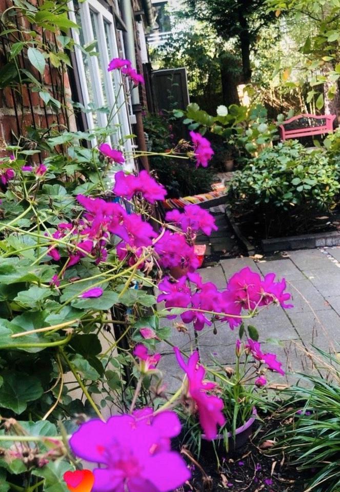 Thumbnail-Atelierraum stunden- oder tageweise mieten