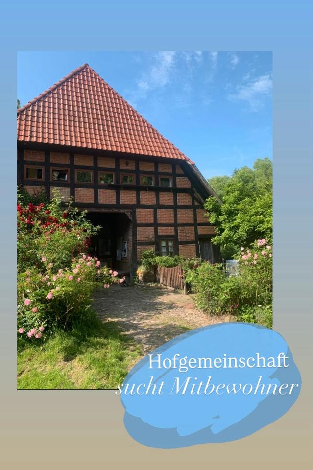 Thumbnail-Großzügige 1-Zimmer Wohnung in Wohnprojekt