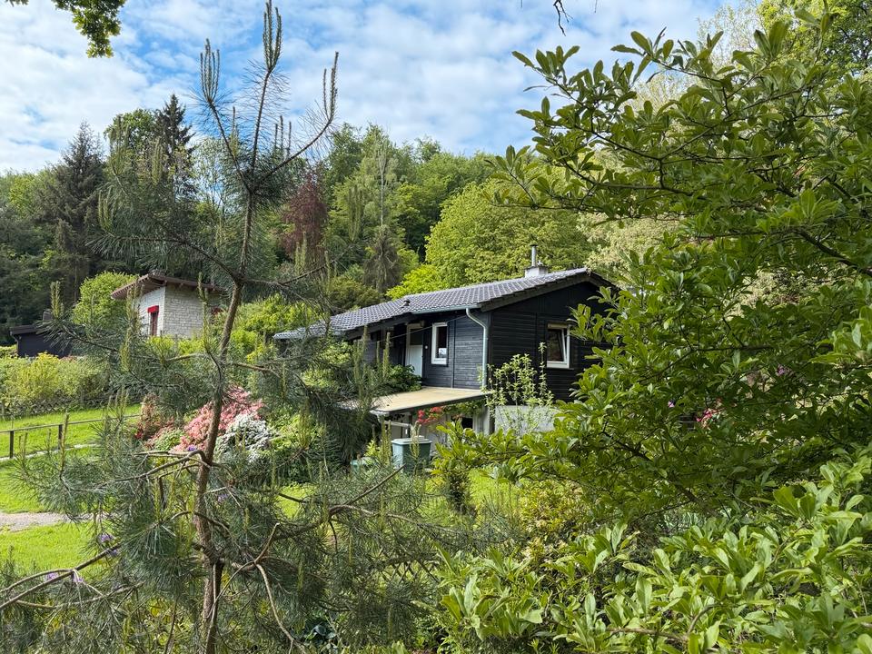 Thumbnail-Holzbungalow in Waldrandlage