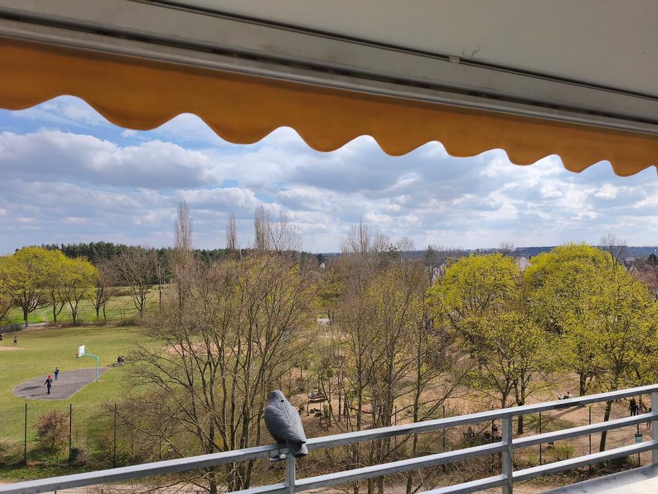 Thumbnail-2 Zimmer renovierte Wohnung zu vermieten 62 qm mit Tiefgarage