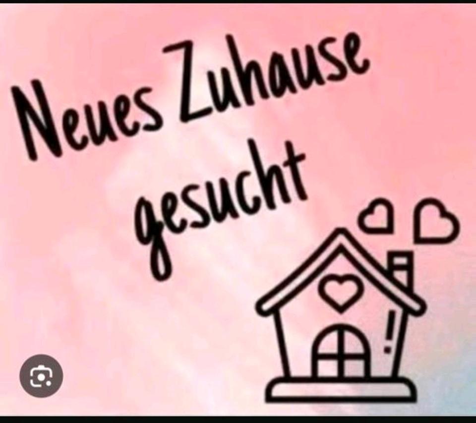 Thumbnail-Bitte Text lesen,2 Zimmer Wohnung ländlich,ca.50 Quadratmeter
