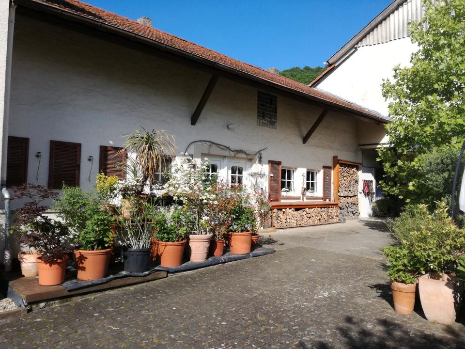 Thumbnail-Bauernhof - ein Pferdeparadies mit 3,4 ha arrondierter Weide