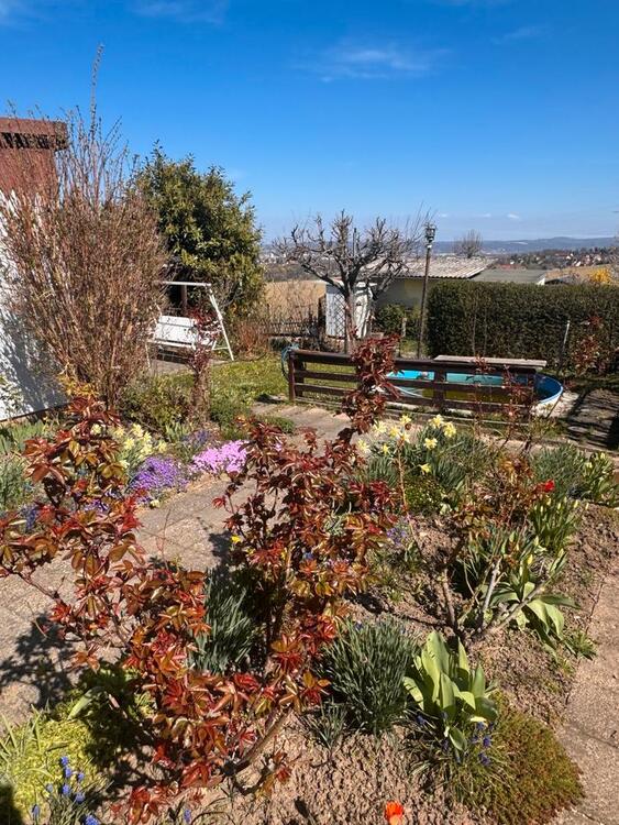 Thumbnail-Garten in Bannewitz abzugeben, Bungalow , Mini Pool, Gartenhaus,