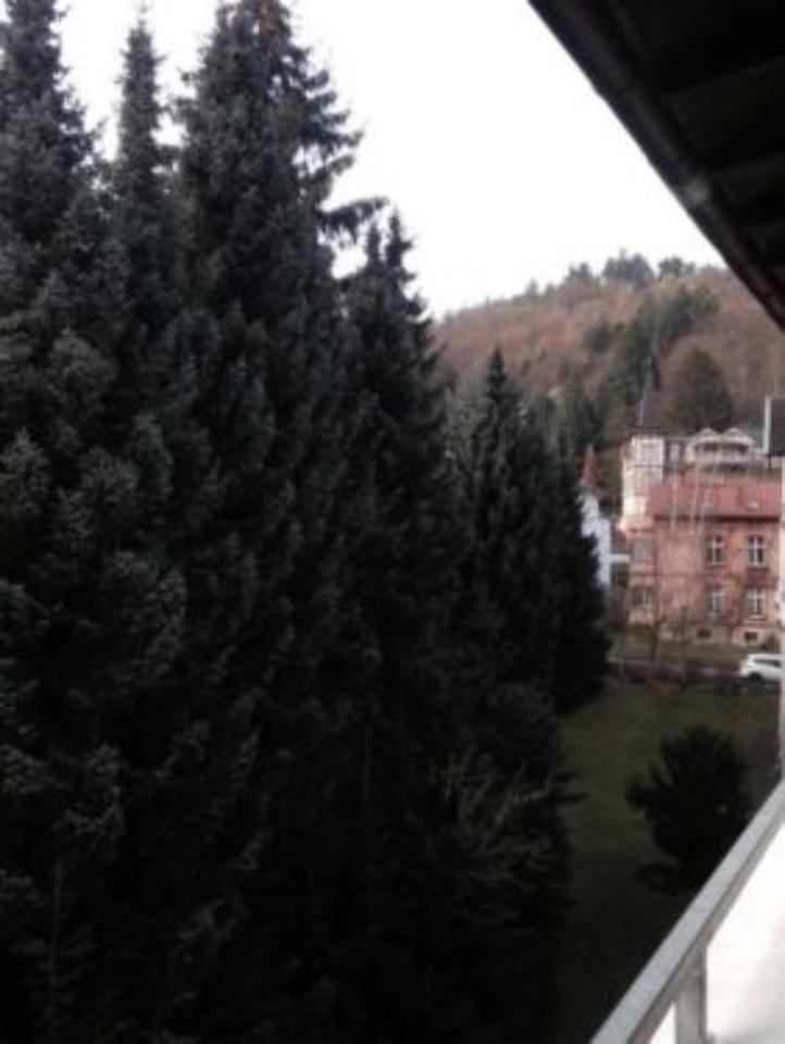 Thumbnail-vermiete helle, möbl. 2-Zimmer-Whg 60qm im Zentrum Bad Harzburg