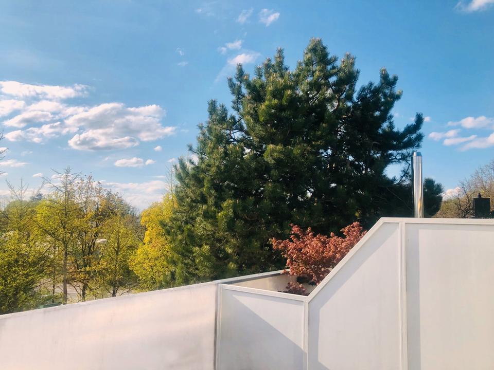 Thumbnail-Sonniges Reihenhaus mit Dachterrasse direkt am Westpark v. Privat
