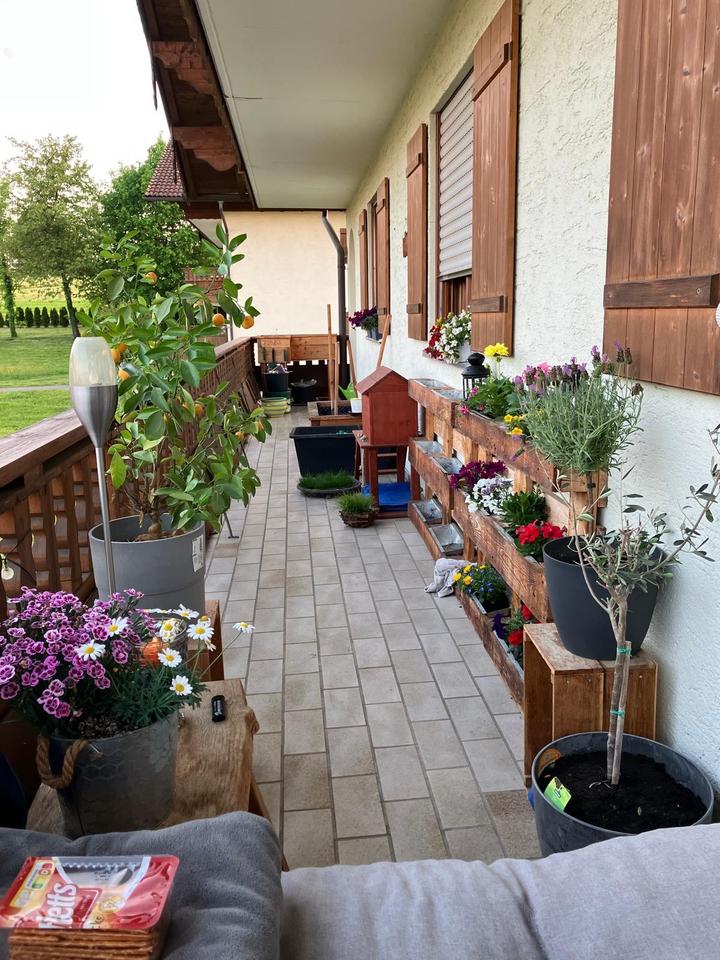 Thumbnail-Wohnung 1. OG