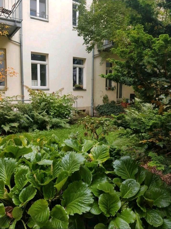 Thumbnail-Ruhige 1- Zimmer Wohnung in der Neustadt