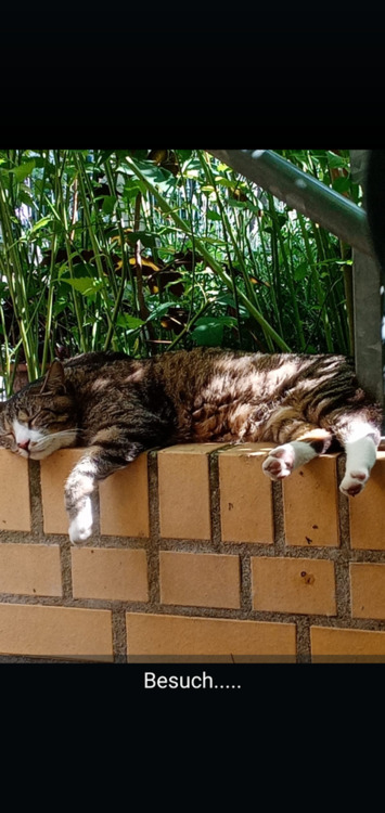 Thumbnail-Schöne Wohnung zu vermieten