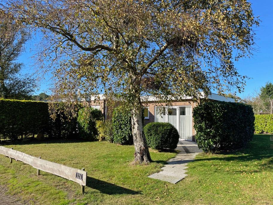 Thumbnail-Ferienhaus auf Texel von privat