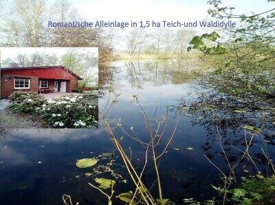 Thumbnail-Ferienwohnung -Teichperle in ALLEINLAGE 1.5ha im Wald am Teich