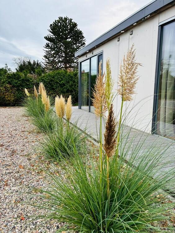 Thumbnail-Ferienhaus in Quarnbek für bis zu vier Personen