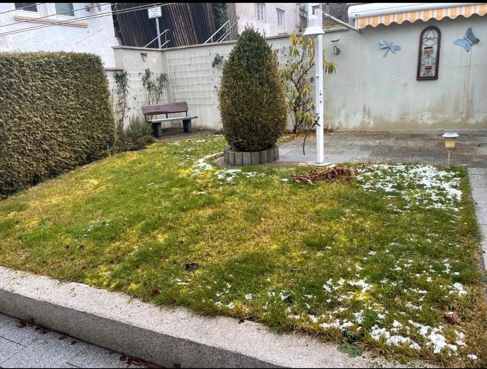 Thumbnail-WG Zimmer zentral an der uni