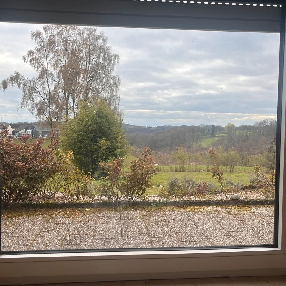 Thumbnail-Wohnung im grünen