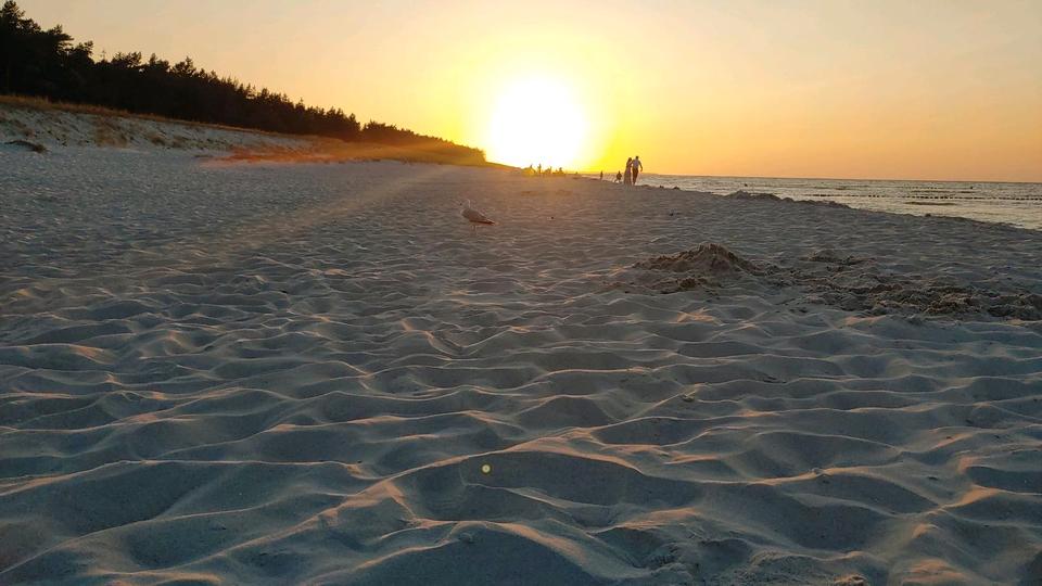 Thumbnail-Herbstferien auf dem Darß Ferienhaus frei