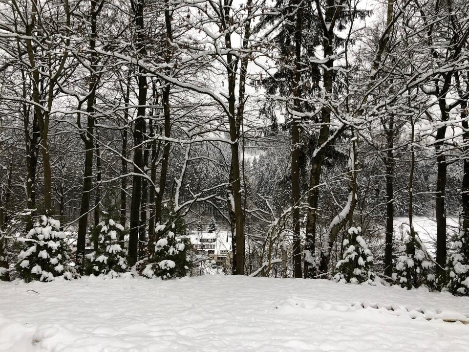 Thumbnail-Ferienhaus im Harz Kapitalanlage Renditeobjekt Sauna