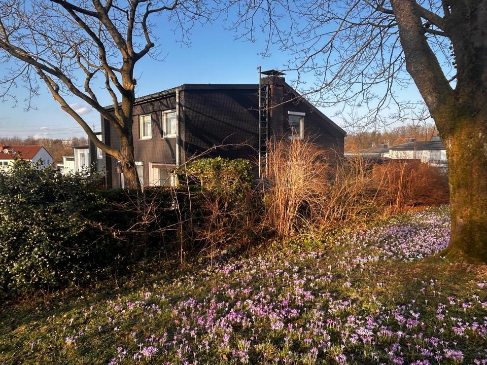 Thumbnail-Familientraum in Remscheid