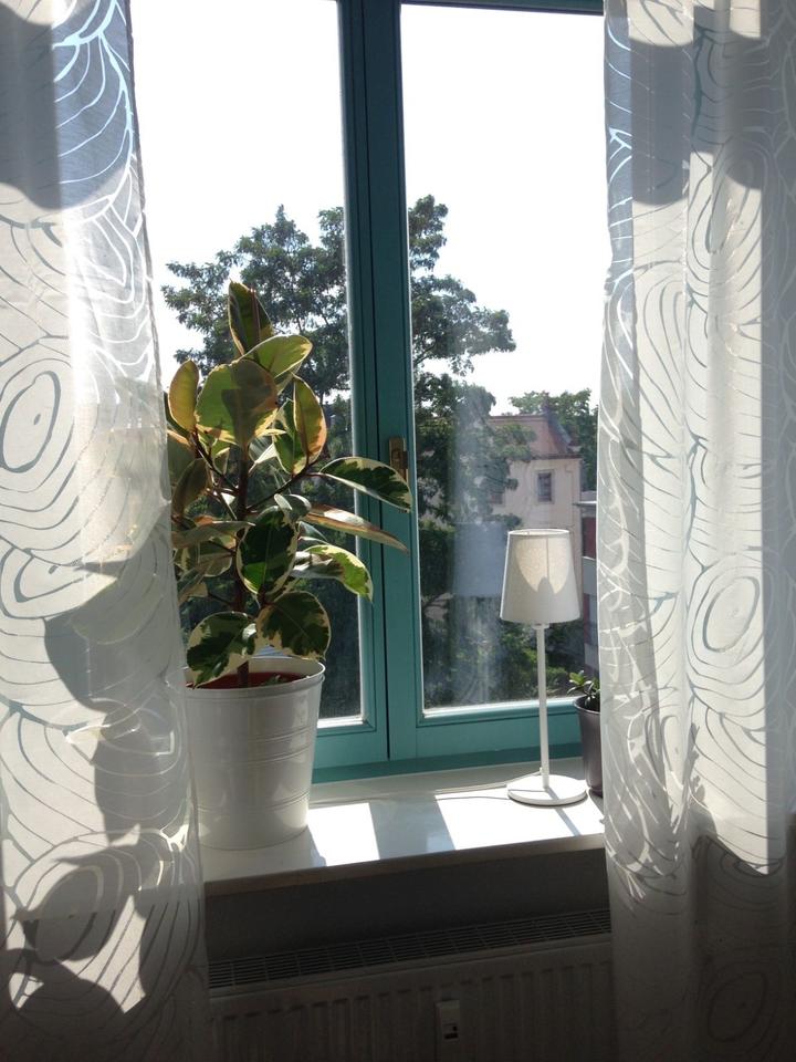 Thumbnail-Schnuckelige 1-Raum-Wohnung möbeliert, sehr hell, in Top-Lage