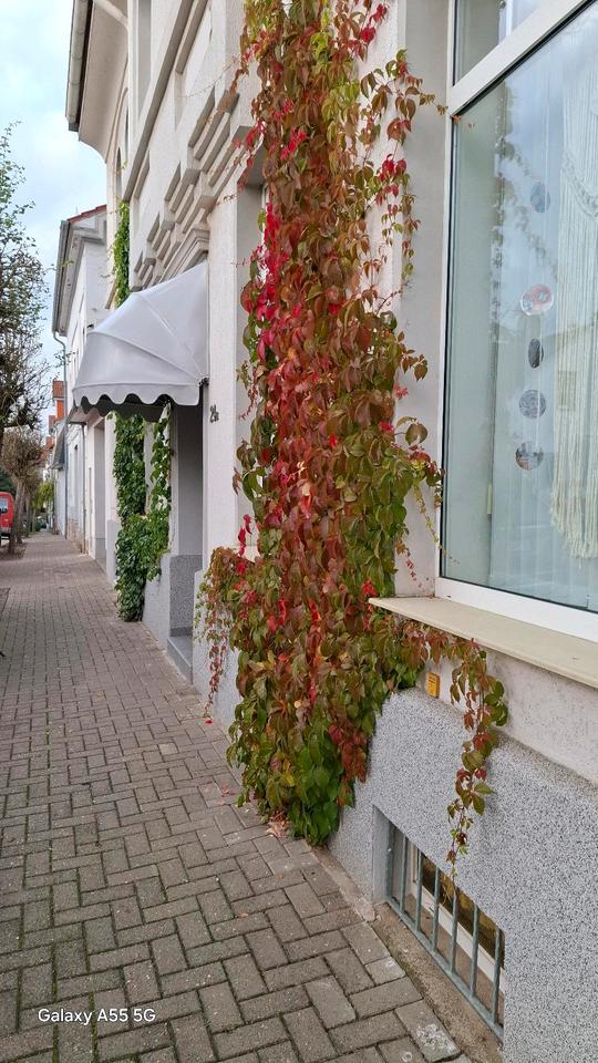 Thumbnail-2-Raum-Wohnung ohne Balkon