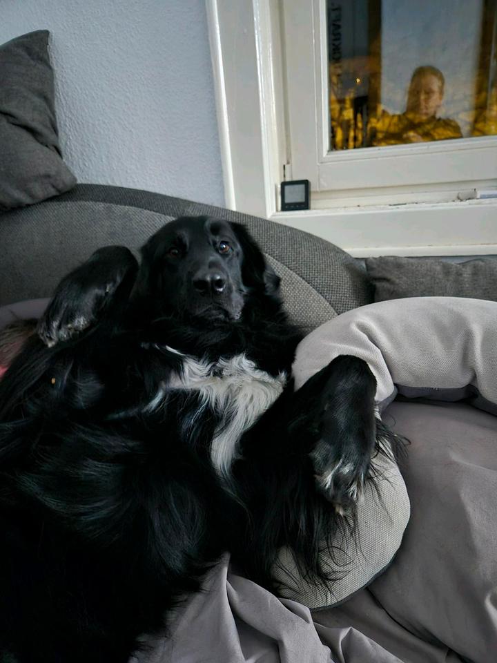 Thumbnail-Kleines Haus oder Erdgeschosswohnung