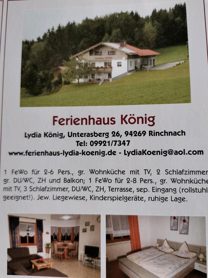 Thumbnail-Große Ferienwohnung Rinchnach