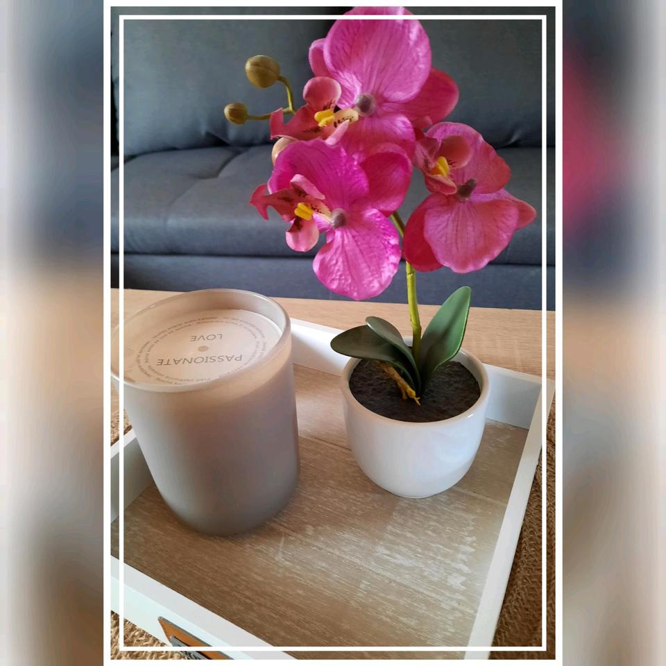 Thumbnail-Wohnen auf Zeit