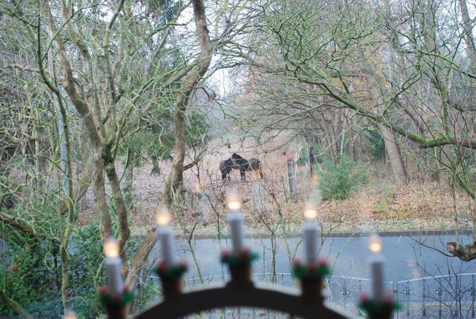 Thumbnail-Haus mit Garten Grundstück - gute Lage Hannover Bothfeld Lahe