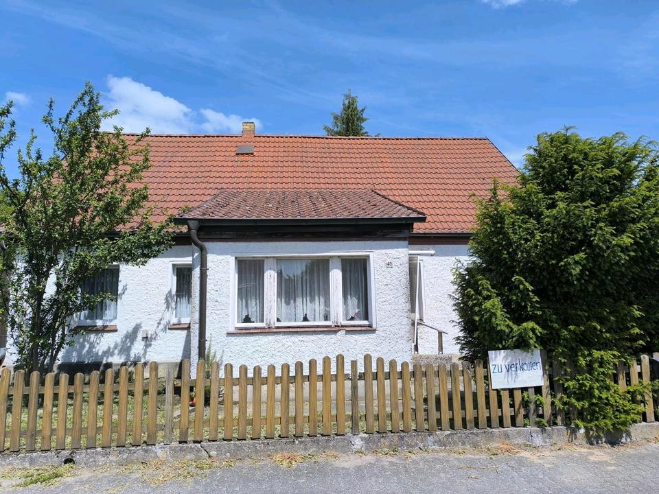 Thumbnail-Einfamilienhaus mit großem Grundstück