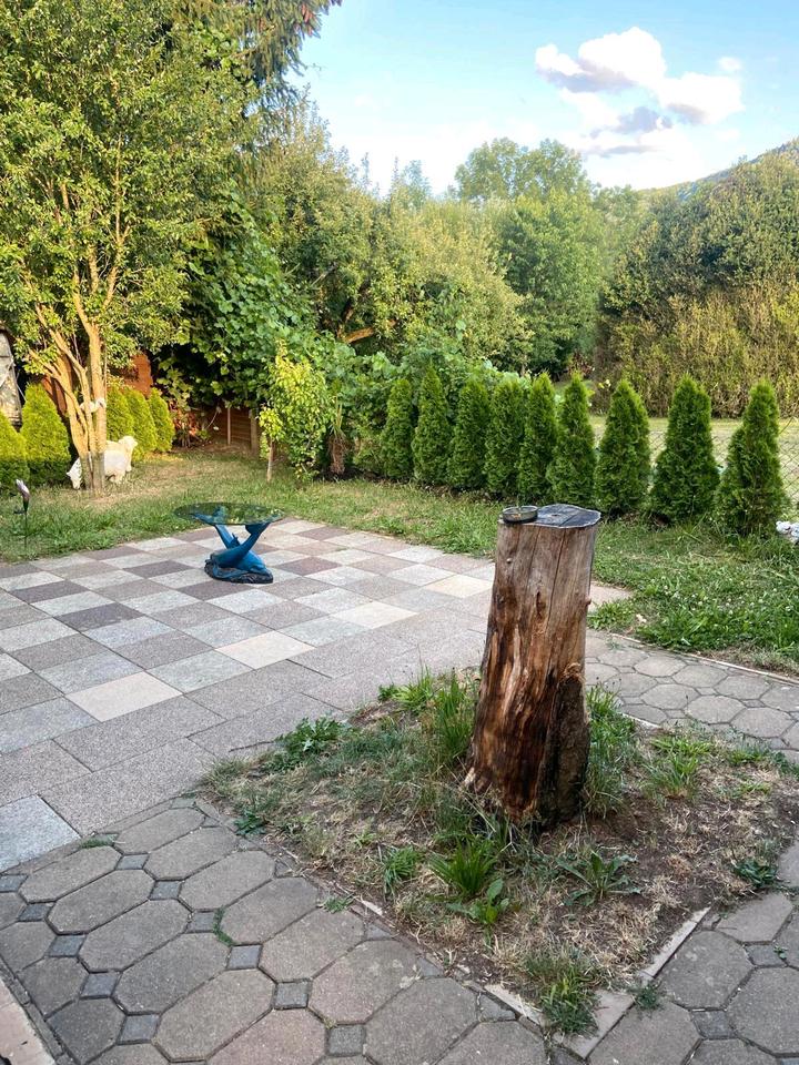 Thumbnail-Drei Zimmer Wohnung