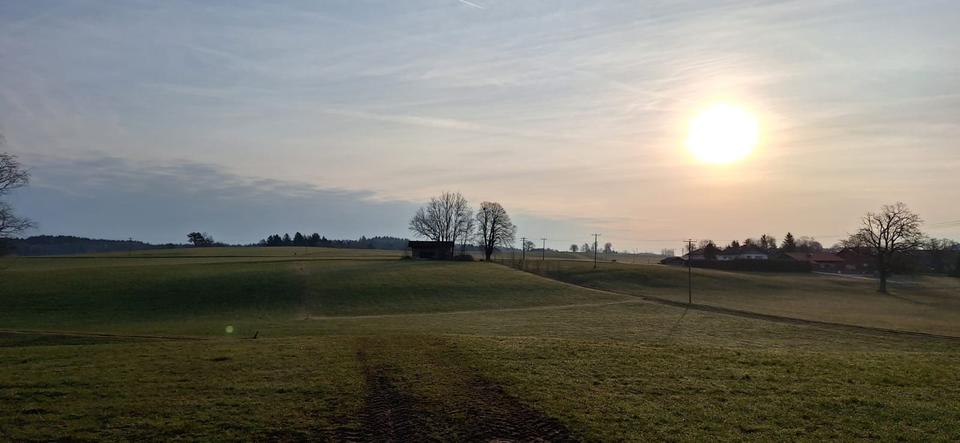 Thumbnail-Helle frisch sanierte 4-Zimmer Wohnung mit Garten und Terrasse