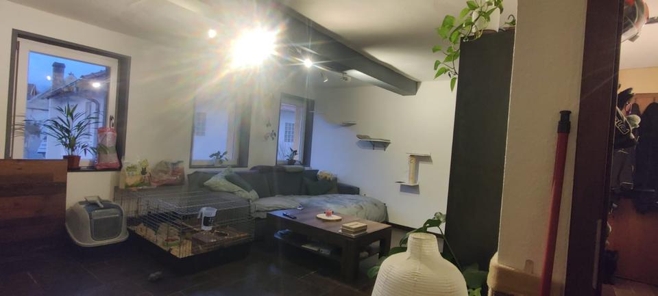 Thumbnail-2 zimmer Küche Bad warmmiete