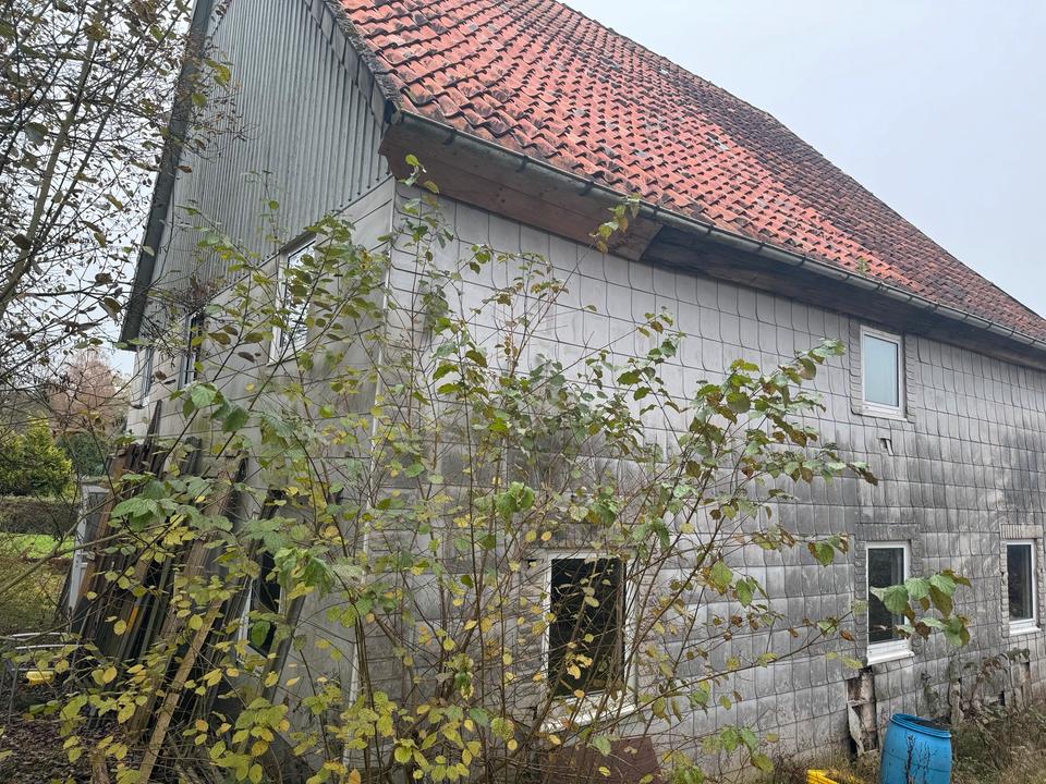 Thumbnail-Altes Haus auf großem Grundstück