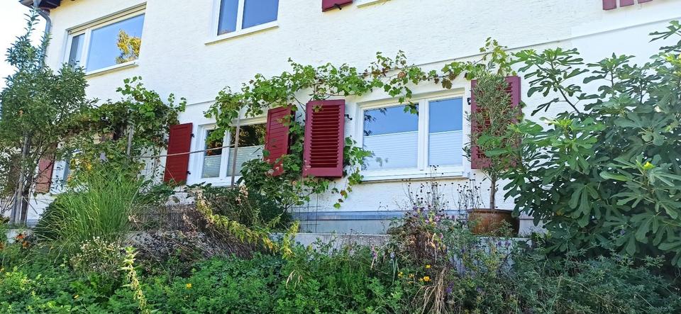 Thumbnail-Gemütliche, helle Einliegerwohnung in Darsberg