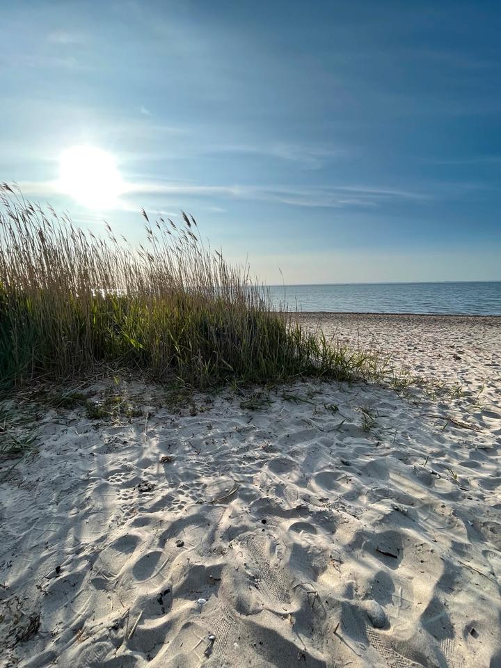 Thumbnail-Ostsee strandnah Ferienwohnung Urlaub