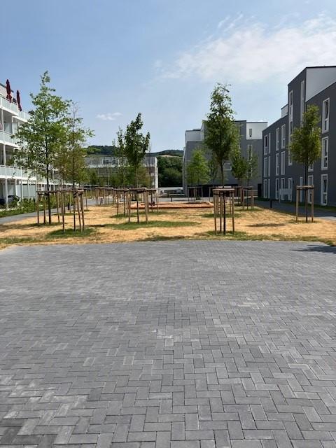 Thumbnail-Helle, großzügige 4-Zimmer-Wohnung in Heppenheimer Neubaugebiet