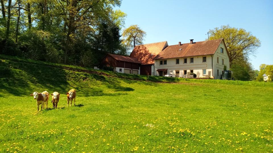Thumbnail-Großes Landhaus in Alleinlage, Pferdehaltung möglich