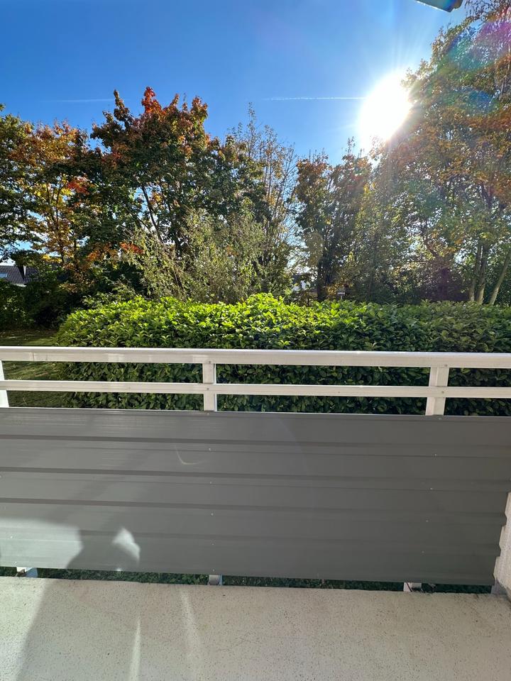 Thumbnail-Helle, frisch renovierte 3-Zi-Whg mit neuer Küche 2 Loggien