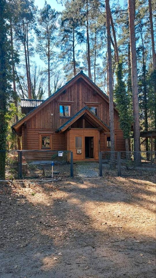 Thumbnail-Verkaufe EFH in Holzbauweise mit Sauna am Waldrand in Hohen