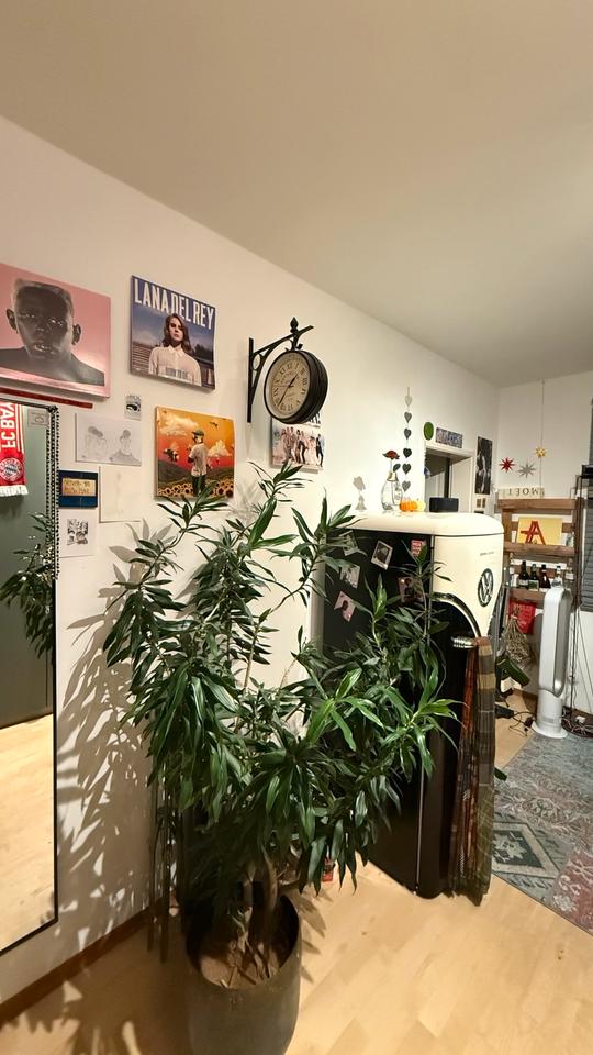 Thumbnail-Vermiete zeitweise helle 1 Zimmer Wohnung in Top Lage