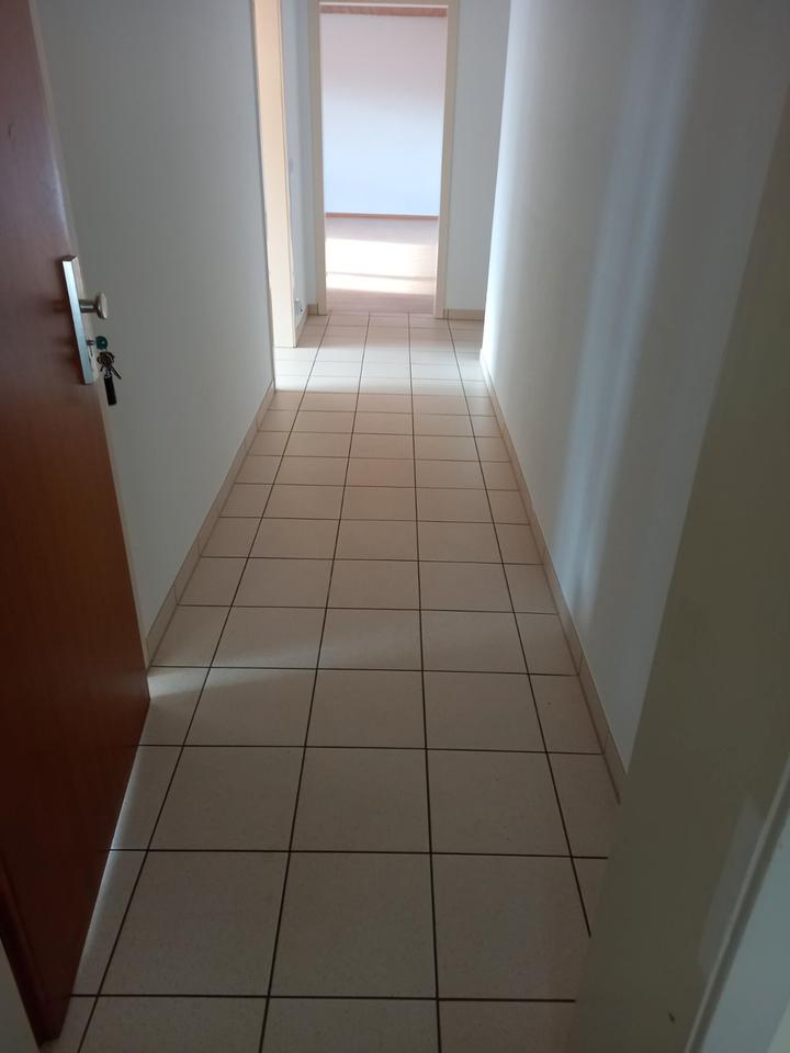 Thumbnail-2-Zi-WHG Lafenburg-Grunholz